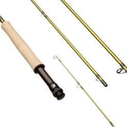 Sage Pulse Fly Rod
