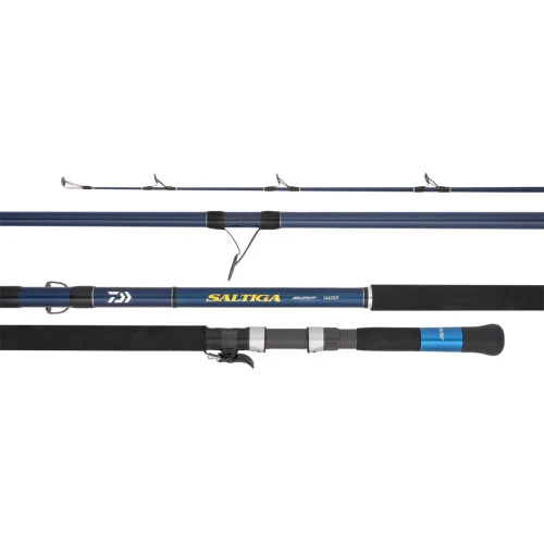 Daiwa 21 Saltiga Surf Rod